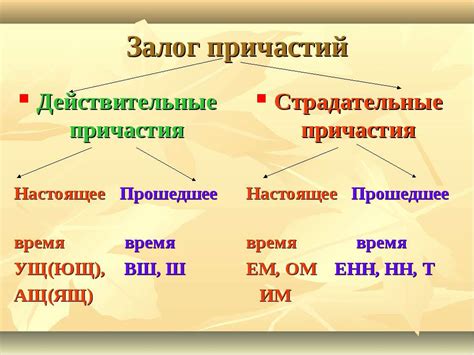 Залог причастия: основное определение и его значение в языке