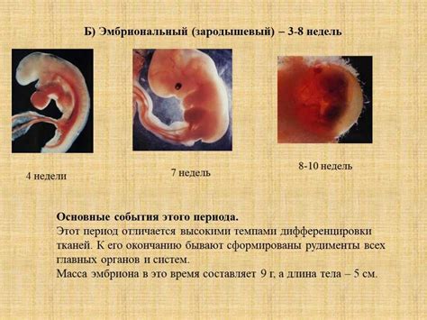 Затруднение зачатия