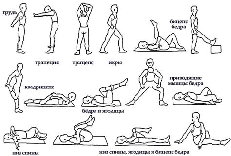 Зачем делать статическую гимнастику