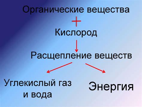 Зачем нам нужен кислород?