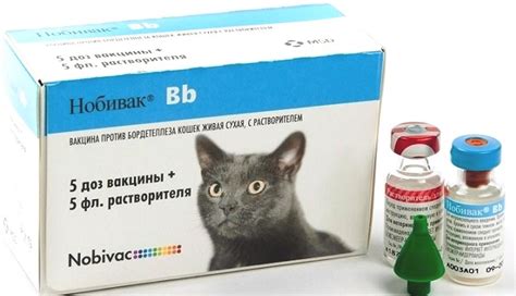 Зачем нужен препарат Нобивак rabies для кошек