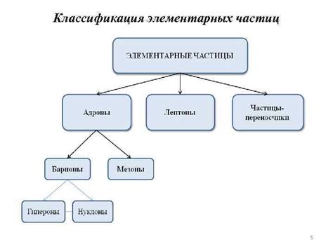 Зачем нужна классификация природных объектов?