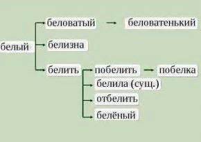 Зачем нужна словообразовательная цепочка