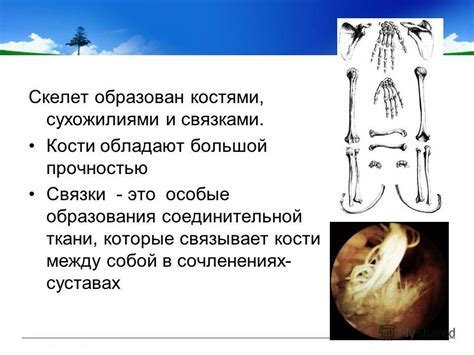 Зачем нужно знать о "рупь за сто"?