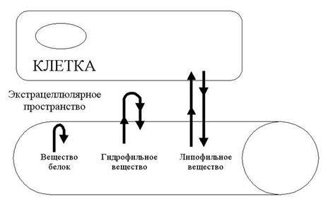 Зачем нужно пролонгирование действия препарата?