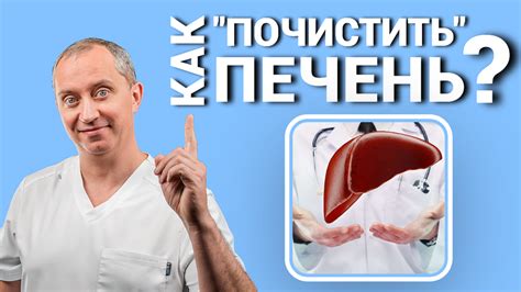 Зачем чистить печень и как это делается