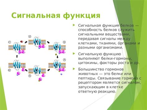 Защита и сигнальная функция