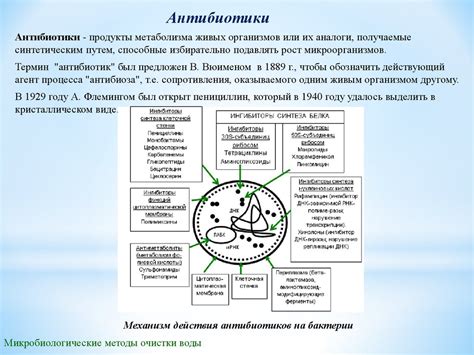 Защита от вредных веществ и микроорганизмов