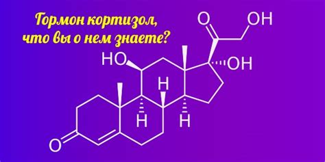 Здоровый образ жизни и кортизол