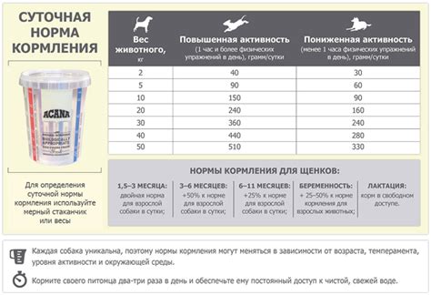 Здоровый рацион: основные принципы кормления щенков