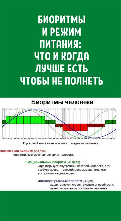 Здоровье и биоритмы