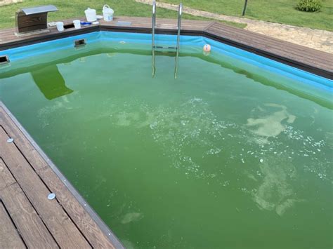 Зеленая и прозрачная вода в бассейне: какую проблему это означает?