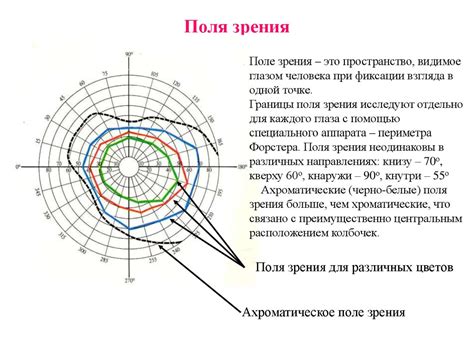 Зеленое поле зрения и духовное познание