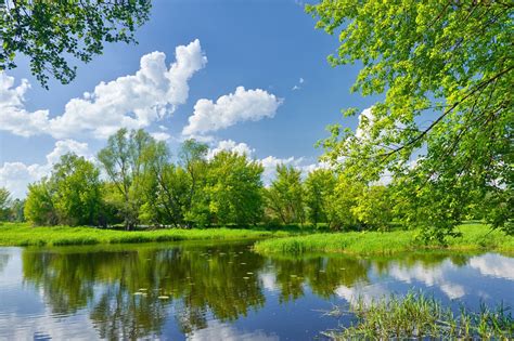 Зелень природы: сновидения о природе и осуществлении желаний