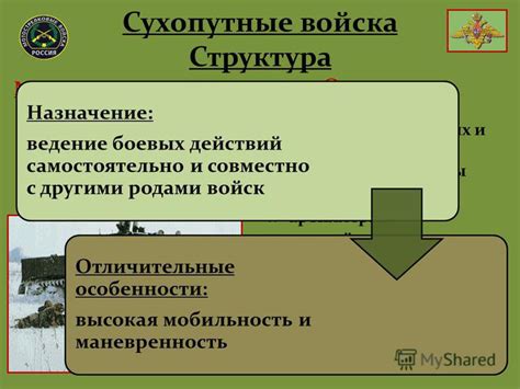 Зенитные войска: устройство и структура