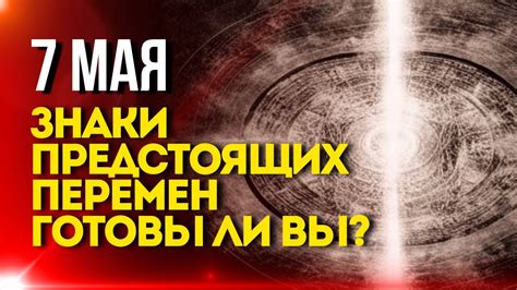 Знаки предстоящих перемена: символика маленького четвероногого друга в объятиях