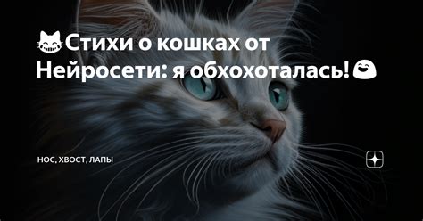 Знаки судьбы: предвещает ли сновидение о коте в окне что-то важное?