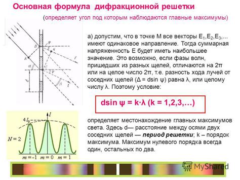 Значение Сильвиевых щелей