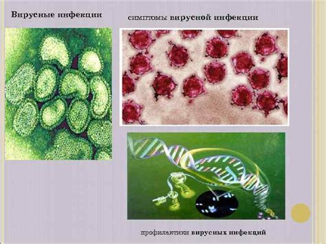 Значение авидности вируса для патогенности