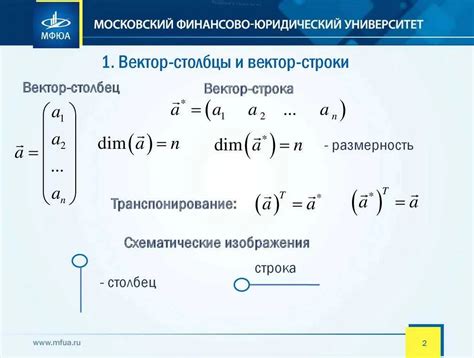 Значение базисных векторов в линейной алгебре