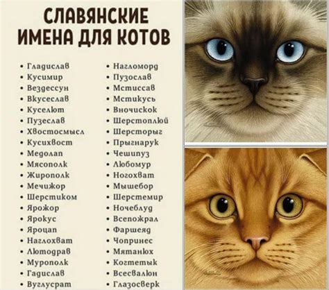 Значение буквы "м" у кошек