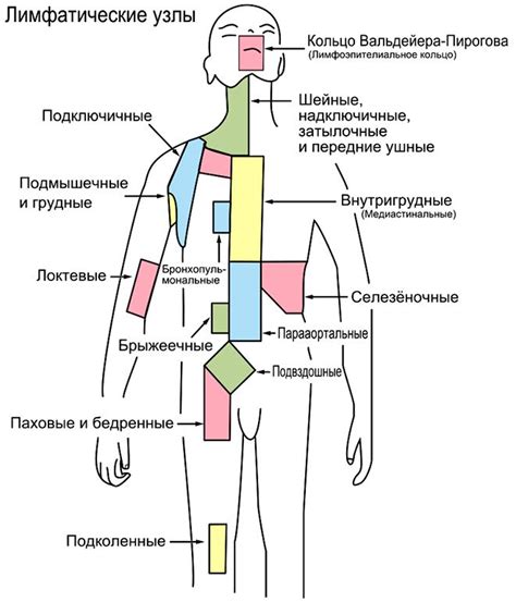 Значение вторичного изменения лимфоузла