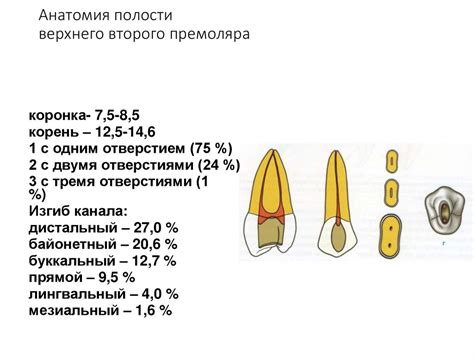 Значение выломленного зуба в сновидении