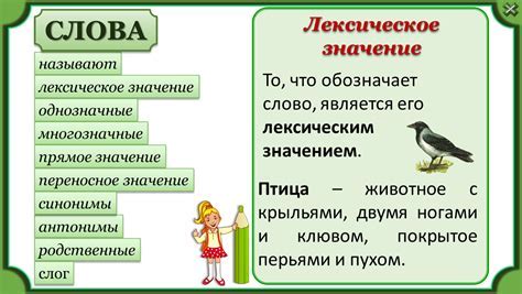 Значение выражения "не видит леса за деревьями" и его применение в жизни