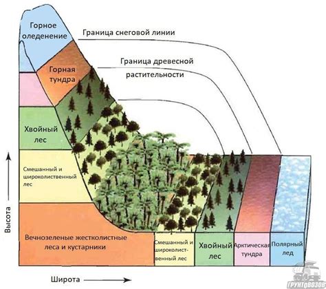 Значение высотной поясности для климата