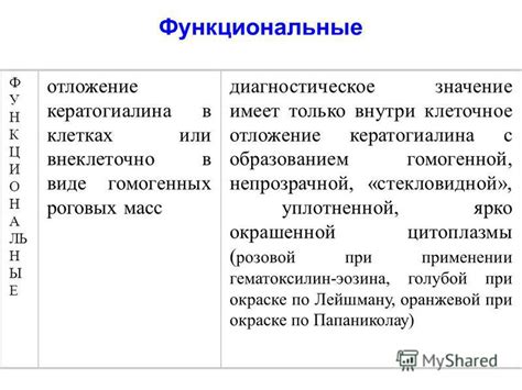 Значение гомогенной структуры