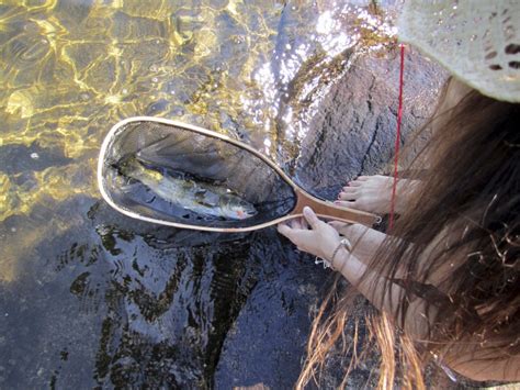 Значение грязного моря во сне для женщины