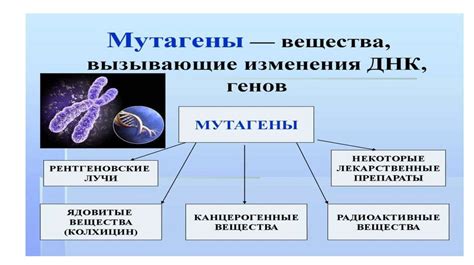 Значение дискретной наследственности для понимания генетических заболеваний