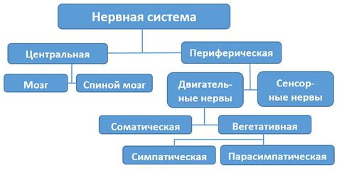 Значение звукописной системы