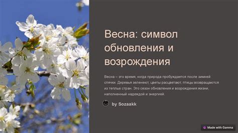 Значение зуда седьмого года в народных приметах