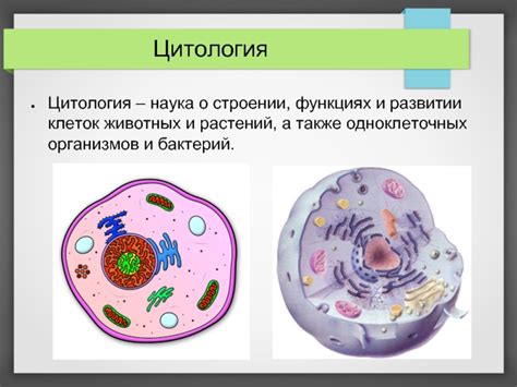 Значение изучения клеточного строения