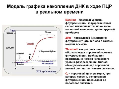 Значение ингибирования ПЦР в медицине и научных исследованиях