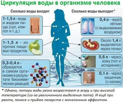 Значение иона калия для нормализации водного баланса в организме