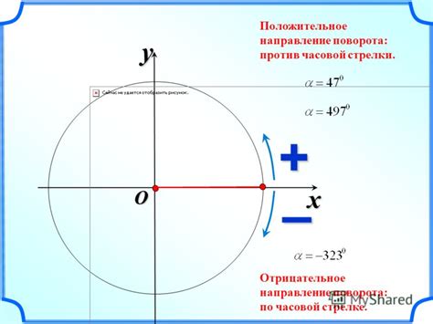 Значение исследований поворота сердца против часовой стрелки у взрослого