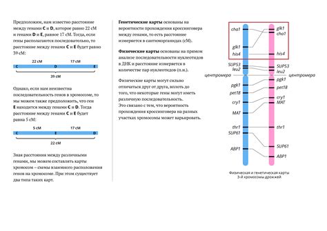 Значение исследований расстояний между генами 10 Морганид для индивидуальной медицины