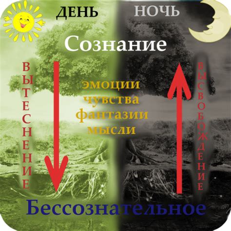 Значение и важность снов в жизни человека