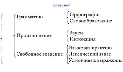 Значение и использование скобок