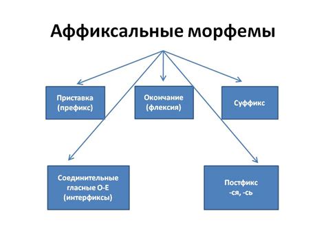 Значение и роль морфем в процессе языковой коммуникации