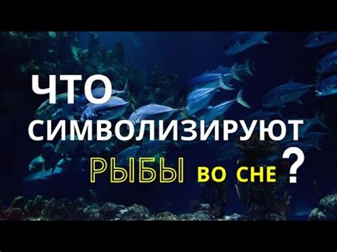 Значение и символика огромной рыбы во сне