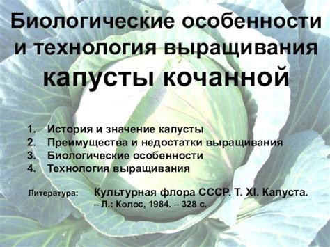 Значение и техники нашинковывания капусты