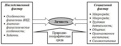 Значение и факторы