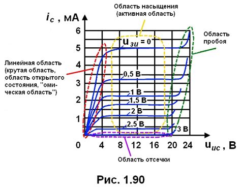 Значение и характеристики полевого щенка