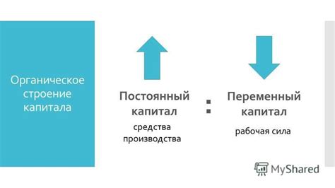 Значение капитала и его разновидности