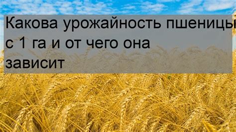 Значение класса пшеницы для мирового рынка