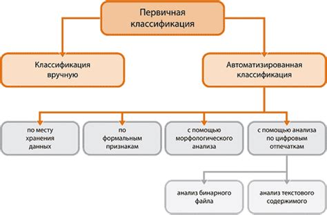 Значение классификации в анализе данных