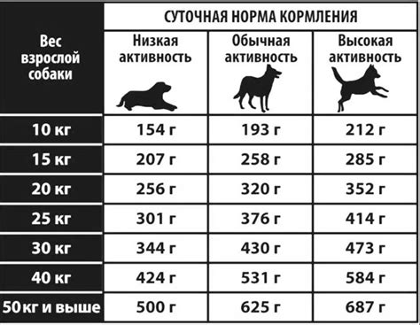 Значение кормления собаки в сновидении: что символизирует?